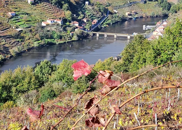 Tatil Evi A Nosa Casa